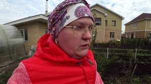 Посев чеснока под зиму