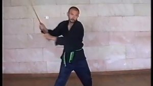 Работа с мечом  Техника меча Вьет Во Дао Лотос Дыонг 3я базовая форма