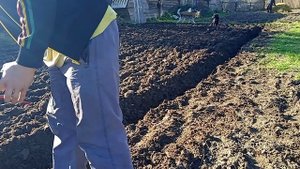 вспашка огорода мотоблоком асилак 84