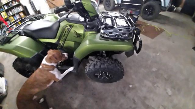 2021 Honda Rubicon 520 50 mile review.