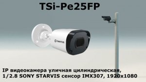 TSi-Pe25FP  IP видеокамера уличная цилиндрическая, 2 Мп