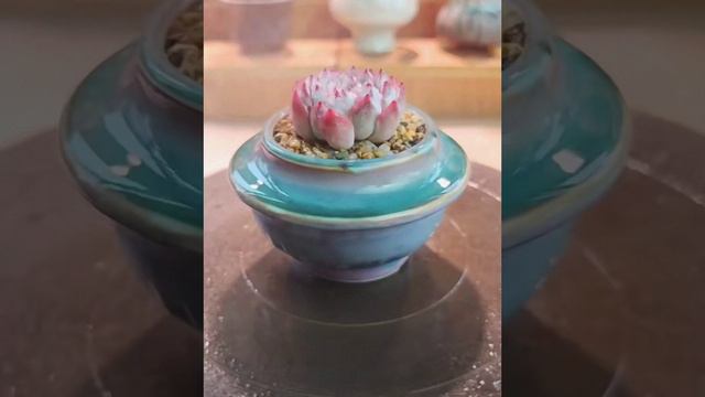 Succulents pots handmade Jingdezhen