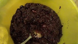 Варенье из черноплодной рябины и меда! Jam of Aronia and honey!
