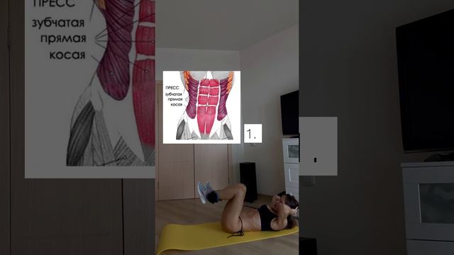 Пресс будет гореть 🔥 смотреть онлайн