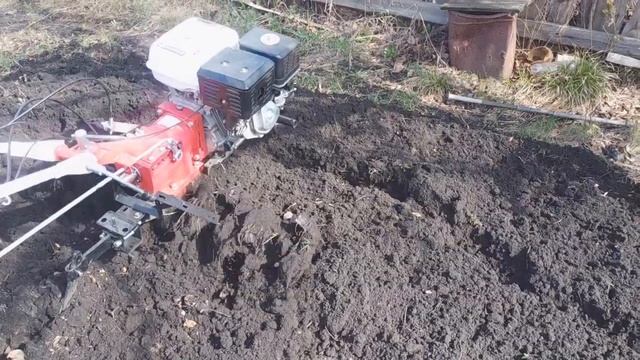 БЕСПЛАТНО МОТОБЛОК ВЕСНА РЫХЛИМ ЗЕМЛЮ