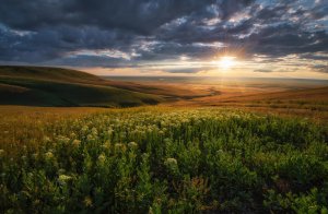 Однажды вечером. Рассказы.