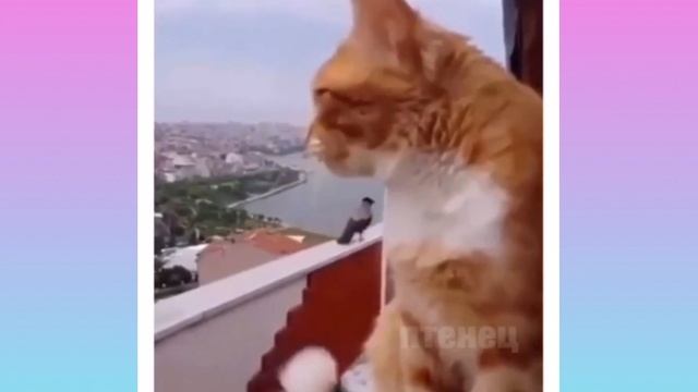 Как правильно общаться с девушкой, когда она обиделась смотреть онлайн