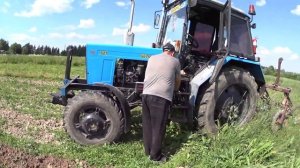 Окучиваем картофель, мтз 82.