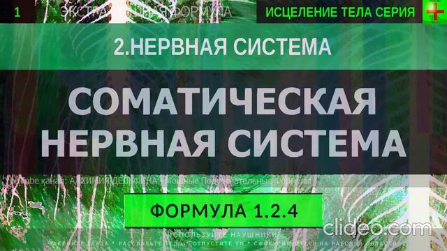 Соматическая Нервная Система ГЛУБОКОЕ ИСЦЕЛЕНИЕ (резонансный саблиминал)