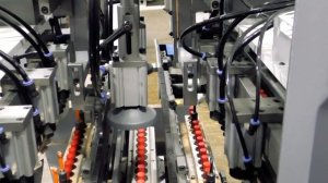 Автоматический сверлильно-присадочный станок KDT-6032D