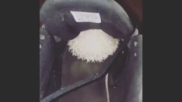 Еж захватил тапок! смотреть онлайн