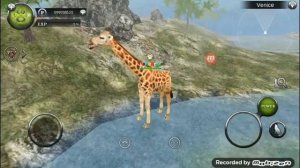 Wild Animals Online Коды на ник, и Лерон мод ссылка👇