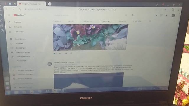 Профи семена Голландских цветов - продаю излишки // Секреты Хороших Урожаев смотреть онлайн