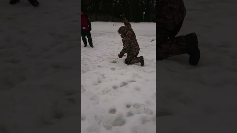 Багорик решает