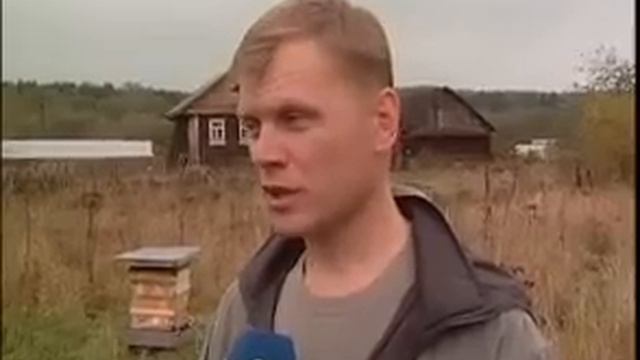 Пчеловодство - отличный вариант домашнего бизнеса