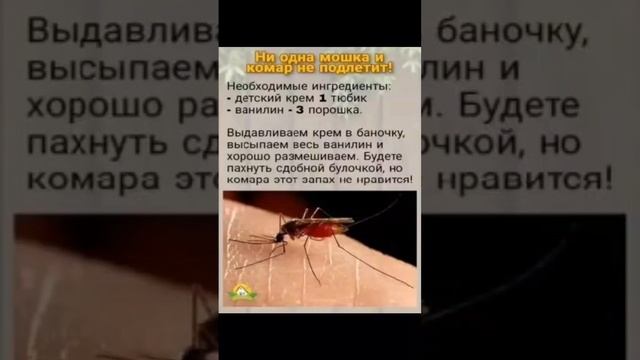 Средство от комаров в домашних условиях