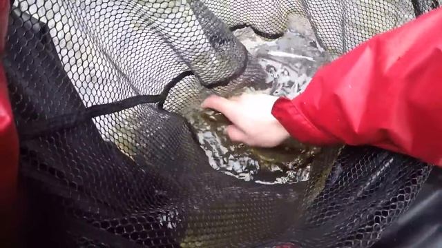 The BEST Winter and Early Spring Lure for TROUT! смотреть онлайн
