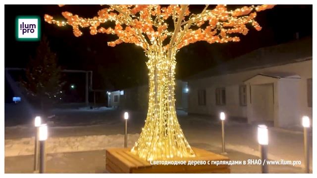 Светодиодное дерево из металла с цветами, гирляндами и скамейкой в Лонгъюгане / Айлюм Про смотреть онлайн