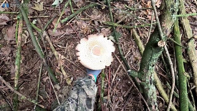 КОП СРЕДНЕВЕКОВЬЕ,Шурф на мельнице,РАСПАХАННЫЙ ДОМ