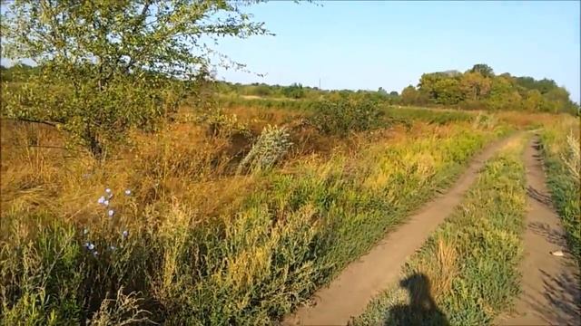 Как изменить свою жизнь? Жизнь в деревне - один из путей. смотреть онлайн