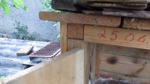 как крольчиха готовиться к родам!!!