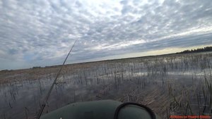 Головкинские острова