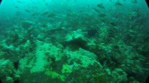 подводное лакедра