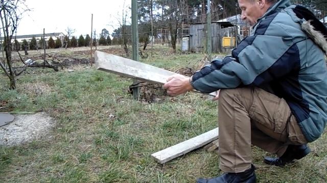 Когда.как и чем укрыть виноград и розы Виноград  Белоруссии Плясун И В