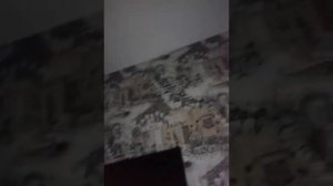 Нас затопило свет вырубился