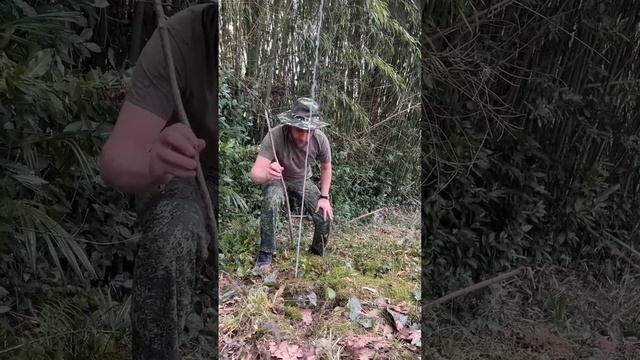 непосредственно Каха  на выживании.  Всем спасибо за подписку