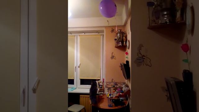 Кот-Пирожок и воздушный шарик) смотреть онлайн