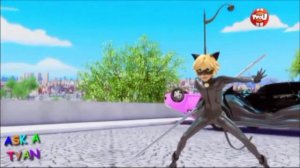 Леди Баг и Кот Нуар. Моя Леди ты как Париж.