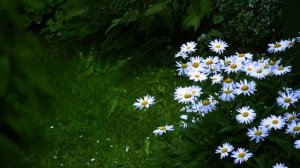 Расслабляющая музыка