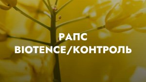 Почему BIOTENCE «Антистресс Масличные»?