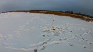 РЫБАЛКА НА ЖЕРЛИЦЫ 2023-2024. ЛОВЛЯ ЩУКИ НА КАРАСЯ. РЫБАЛКА В БЕЛАРУСИ.