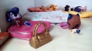 Lps сериал школьный лагерь