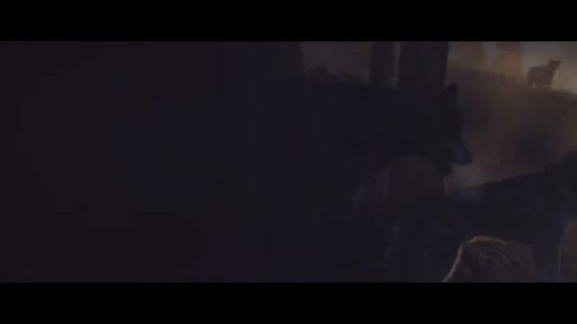 Буктрейлер. По следам белой волчицы смотреть онлайн