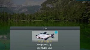 My Fishing World : Синец (Ежедневное задание, Холодное озеро) #myfishingworld