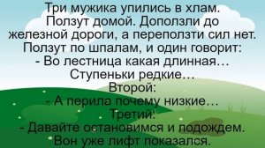 Майор и красивая женщина в купе… Подборка смешных жизненных анекдотов Лучшие короткие анекдоты