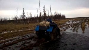 Гусеничный вездеход Кайман и трицикл-самоделка по болоту