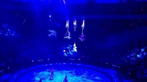 Большой цирк на Вернадского.