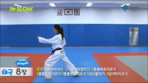 Тэгук ПАЛЬ джан 8 - на коричневый пояс (1 гып)