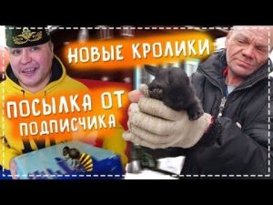 Новые Кролики у Дяди Юры / Большая Посылка ОТ Подписчика / Жарим Шашлык Бригадой