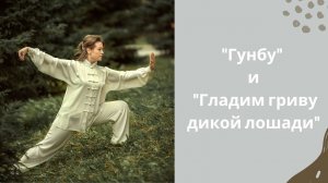 Стойка "Гунбу". Соединяем с формой "Гладим гриву дикой лошади"