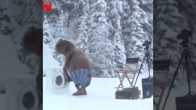 Зима/Стиральная машинка/Медведь  Смешно не могу