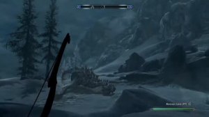 Skyrim летающий тигр