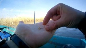 Простая рыбалка. Караси на боковой кивок. Рыбалка на озере с лодки