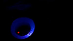 Ультрофиолетовая подсветка лунок