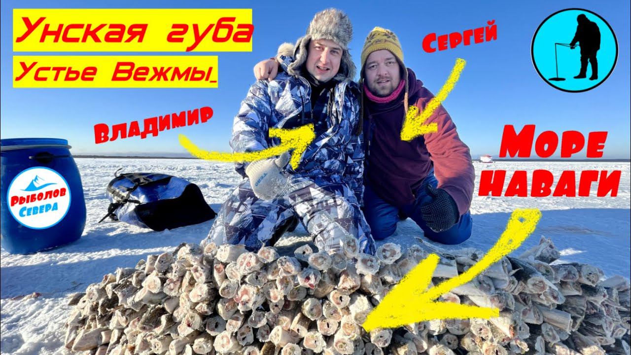 ✅РЫБАЛКА НА НАВАГУ l УНСКАЯ ГУБА l ВЕЖМА #рыболов_севера