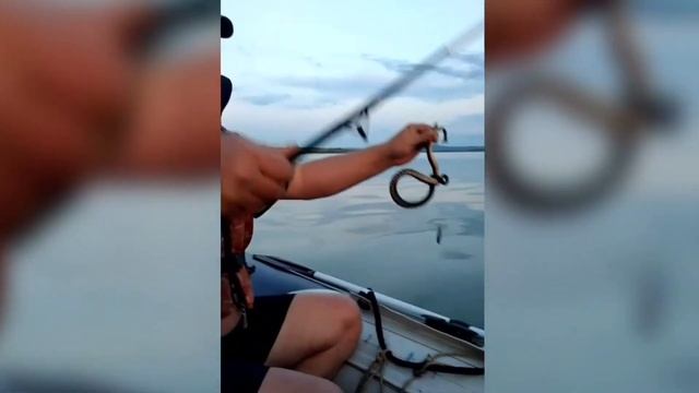 Змея попалась на удочку смотреть онлайн
